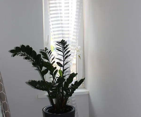 Restauracja Kassandra